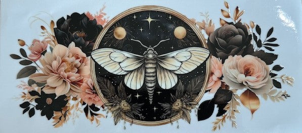 Moth