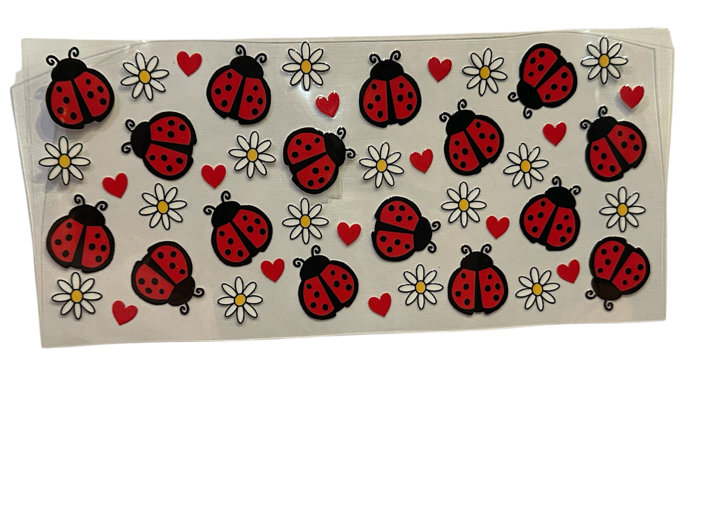 Ladybug