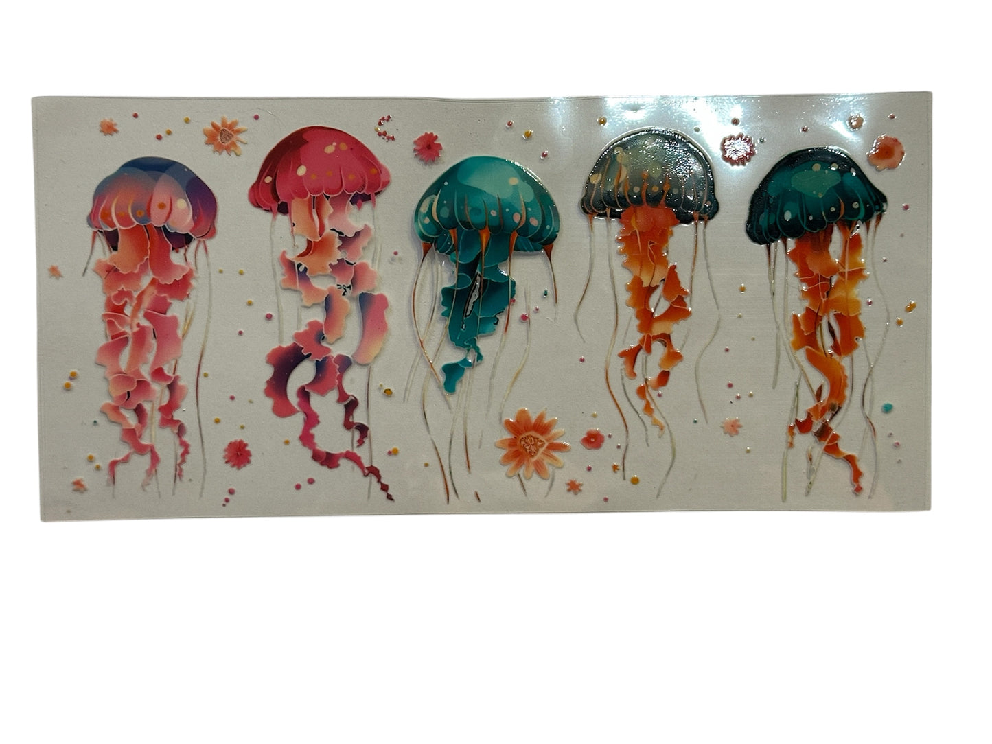 Jellyfish