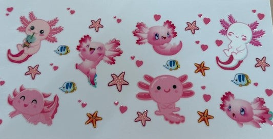 Axolotl 5