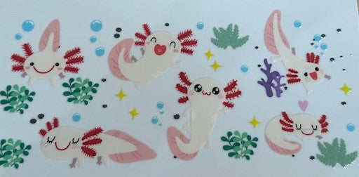 Axolotl 6