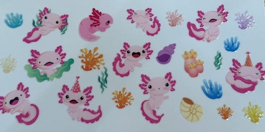 Axolotl 7