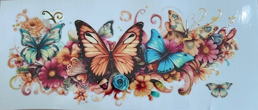 Butterfly 1