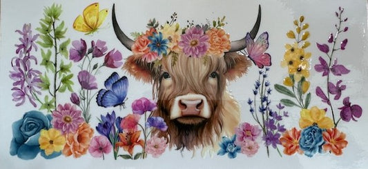 Cow 1