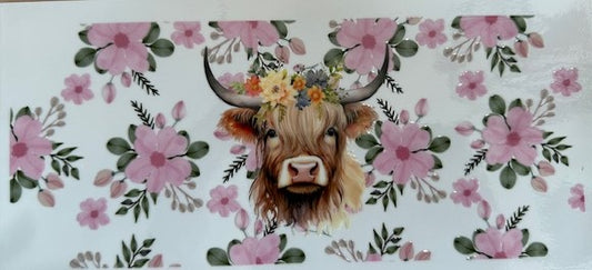 Cow 5