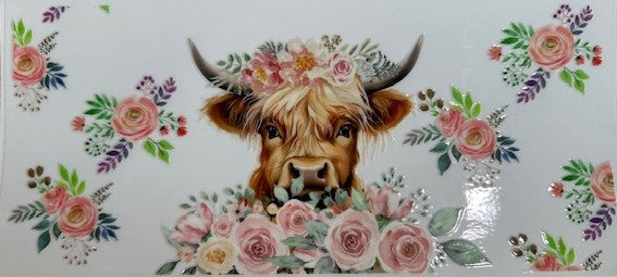 Cow 6