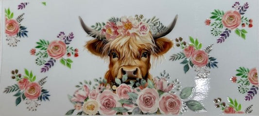 Cow 6