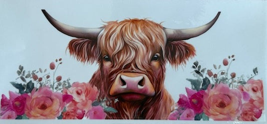Cow 7