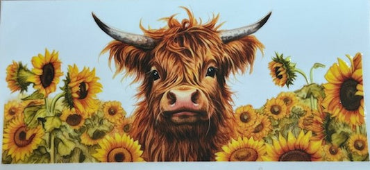 Cow 8