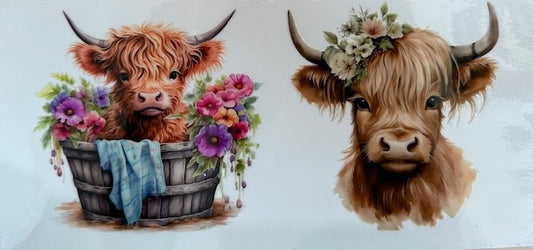 Double Cow 2