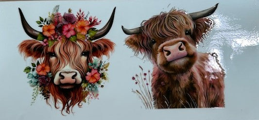 Double Cow