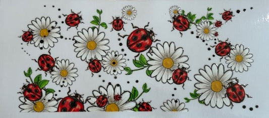 Lady Bugs
