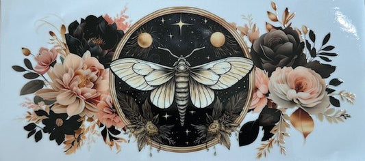 Moth
