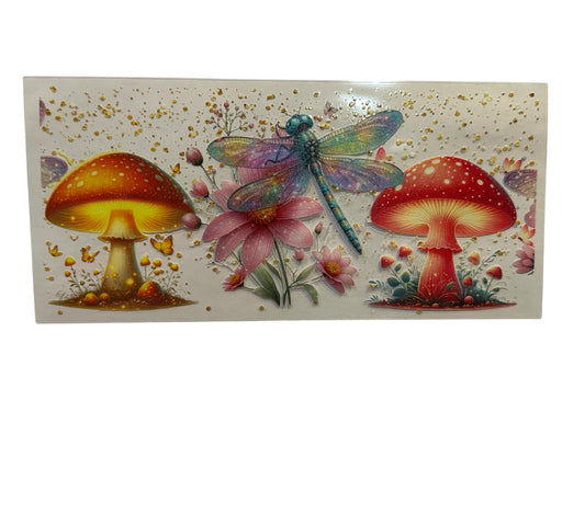 Mushrooms and Dragonfly